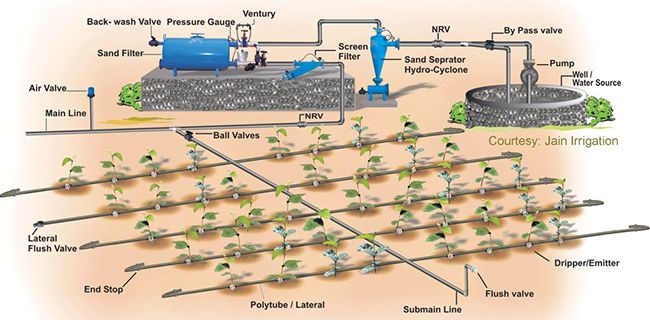 Schematic diagram of drip irrigation system