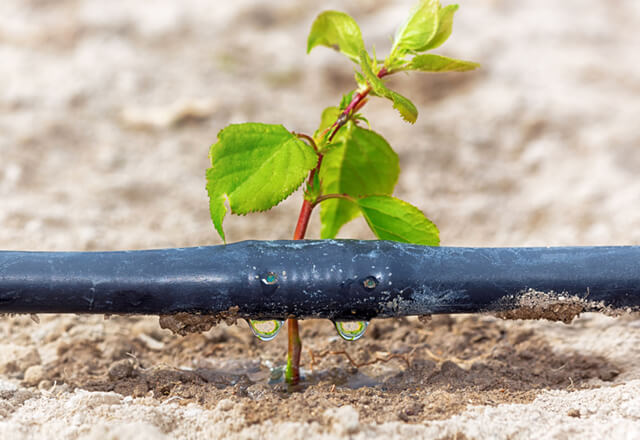 Round Emitter Drip Pipe