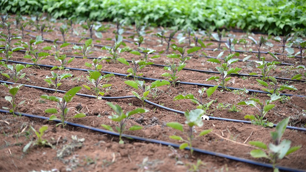 Water-saving irrigation technology