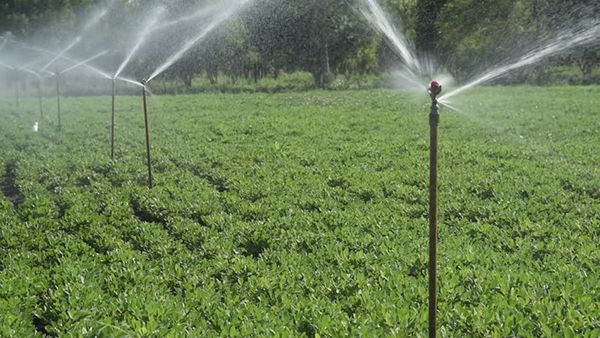 Sprinkler irrigation